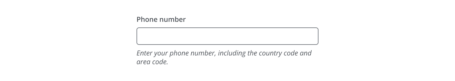 Default state of the formatted input pattern