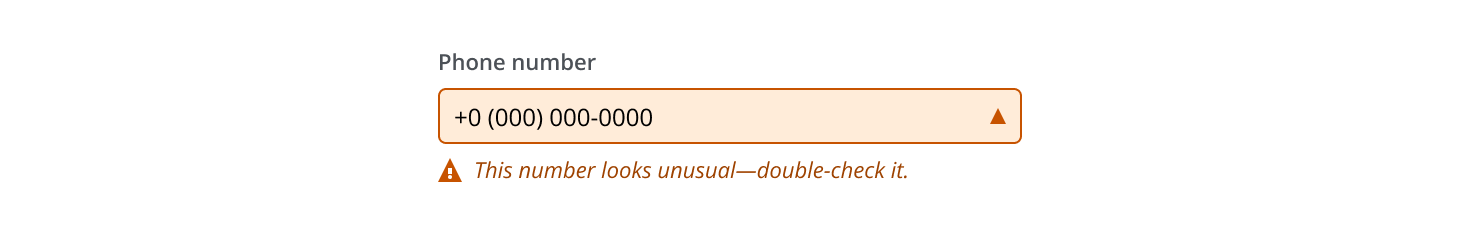 Warning state of the formatted input pattern
